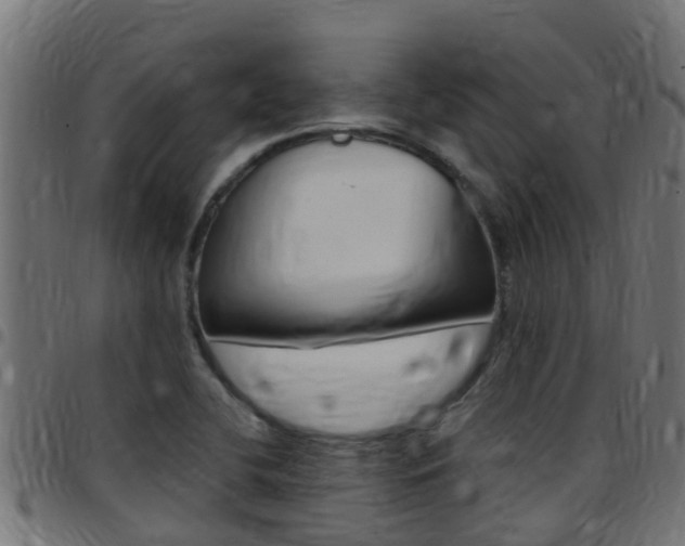 X0000097791412200803070925