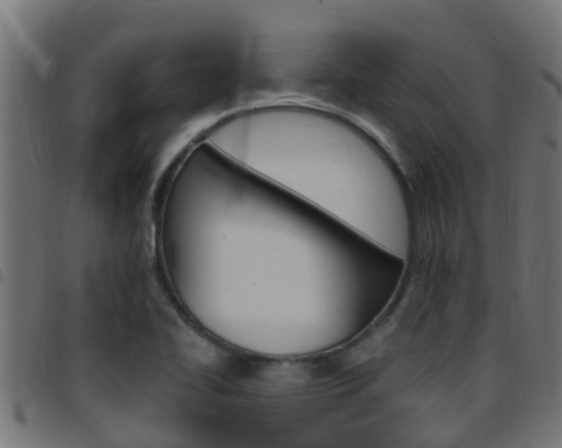 X0000097791414200803070925