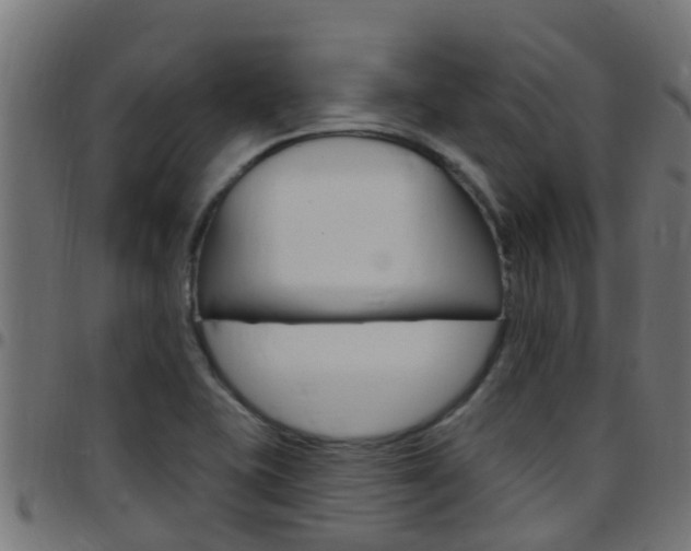 X0000097791415200803070925
