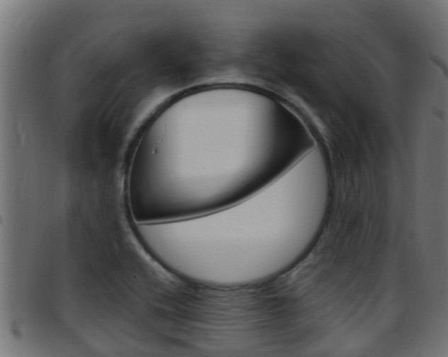 X0000097791416200803070925