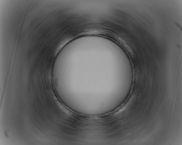 X0000097791417200803070925