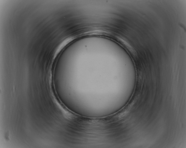 X0000097791418200803070925