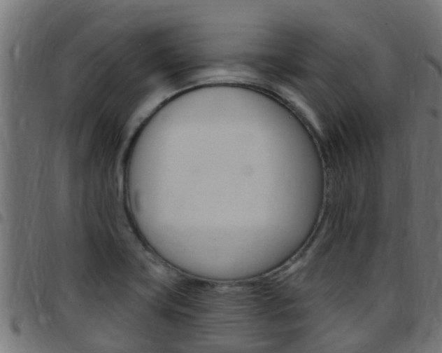 X0000097791419200803070925