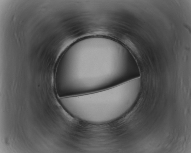 X0000097791420200803070925