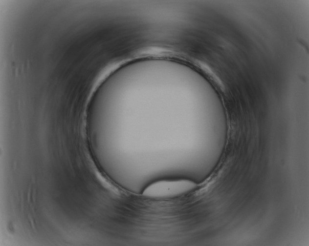 X0000097791421200803070925