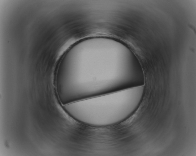 X0000097791422200803070925