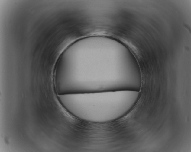 X0000097791423200803070925