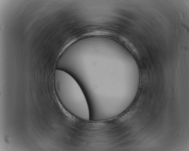 X0000097791425200803070925