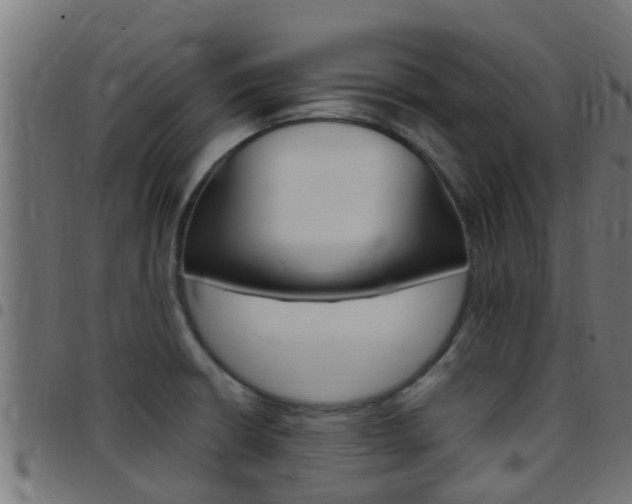 X0000097791426200803070925