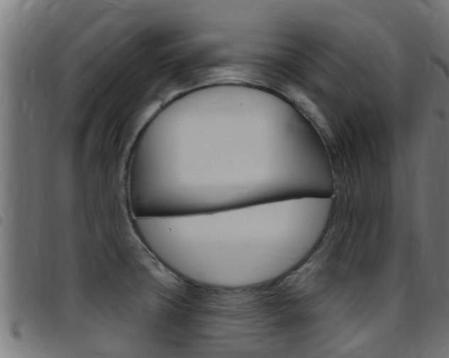 X0000097791427200803070925