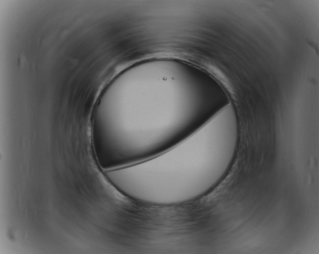 X0000097791428200803070925
