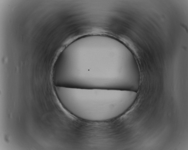 X0000097791429200803070925