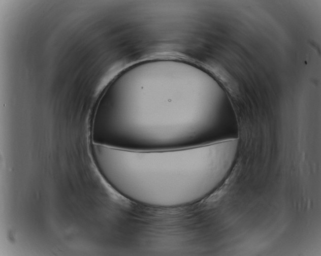X0000097791430200803070925
