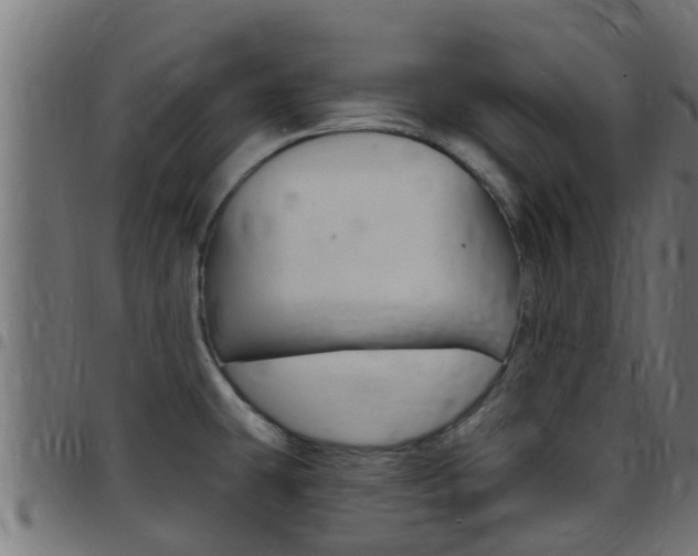 X0000097791431200803070925