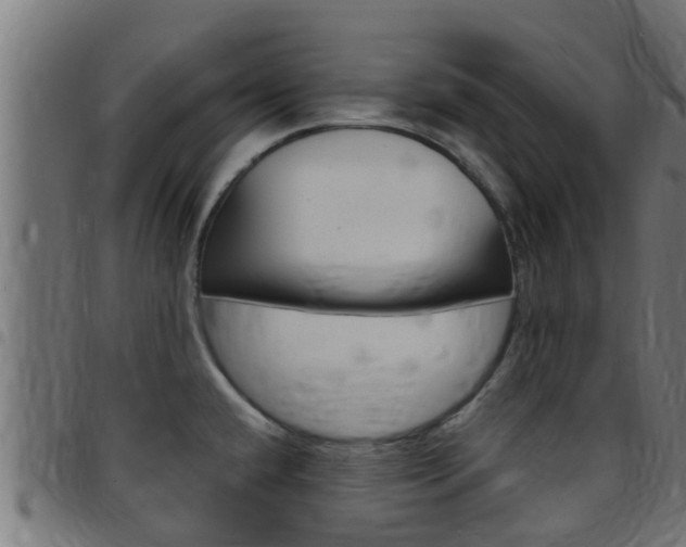 X0000097791432200803070925