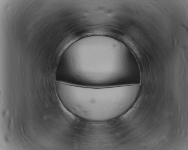 X0000097791433200803070925