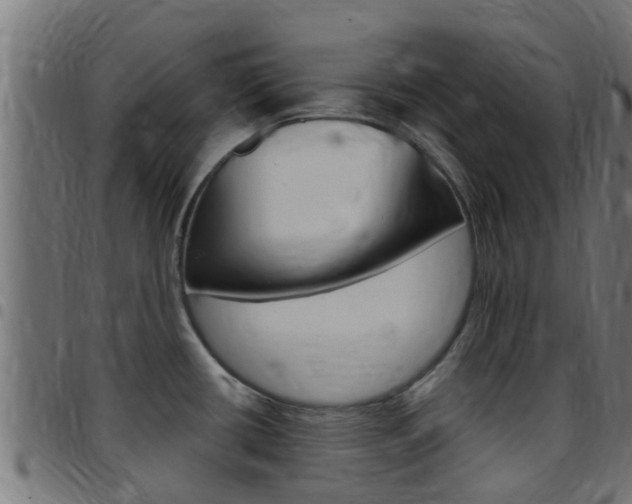 X0000097791434200803070925