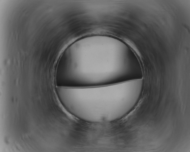 X0000097791437200803070925