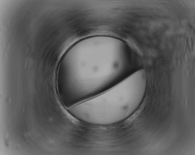 X0000097791438200803070925