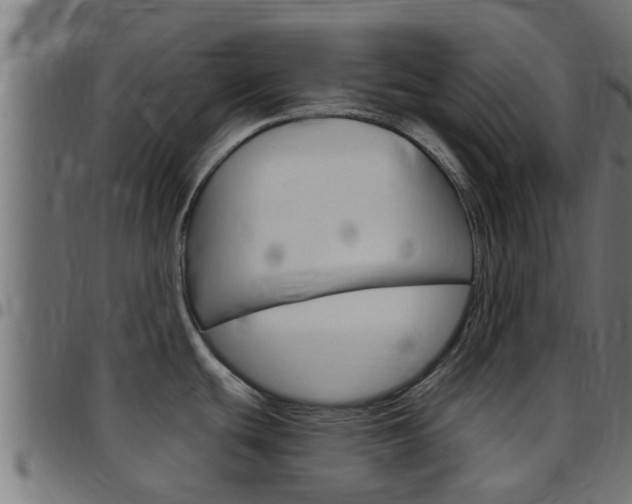 X0000097791439200803070925