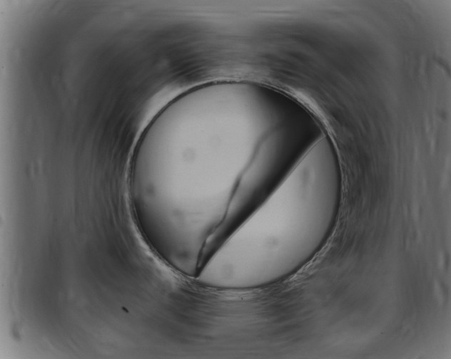 X0000097791440200803070925