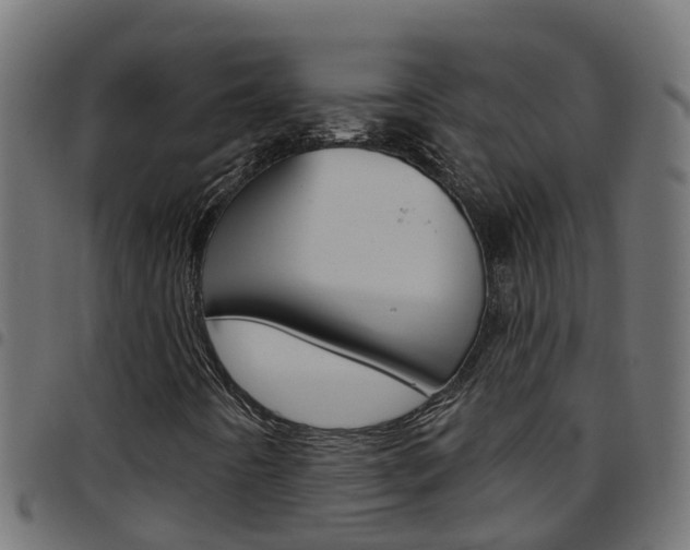 X0000097791442200803070925