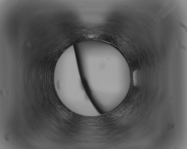 X0000097791443200803070925