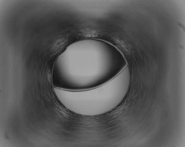 X0000097791444200803070925