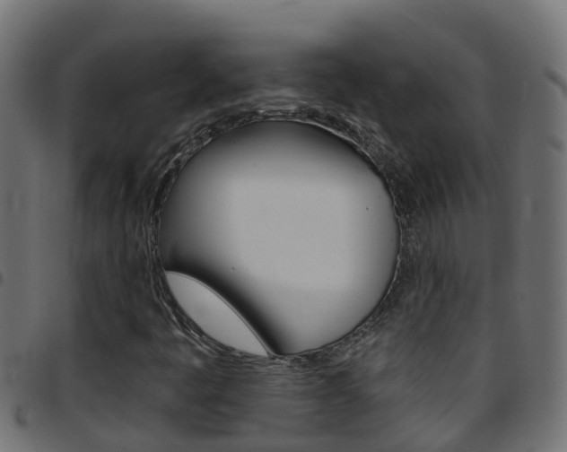 X0000097791445200803070925