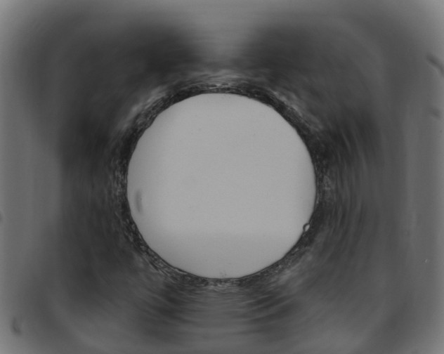 X0000097791447200803070925