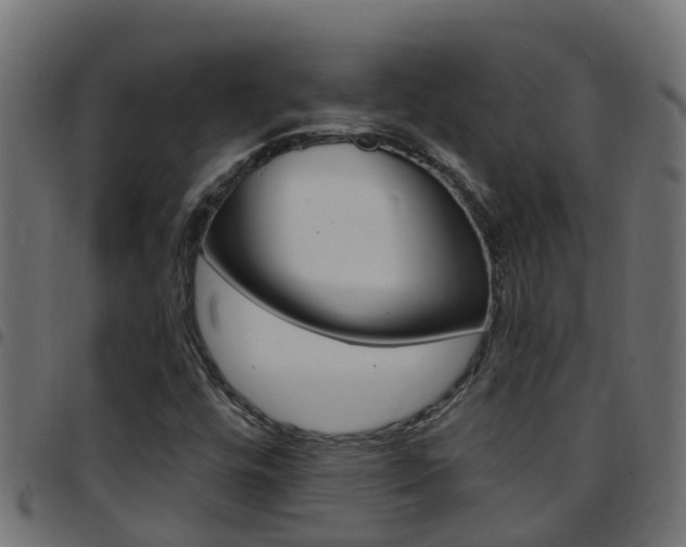 X0000097791448200803070925