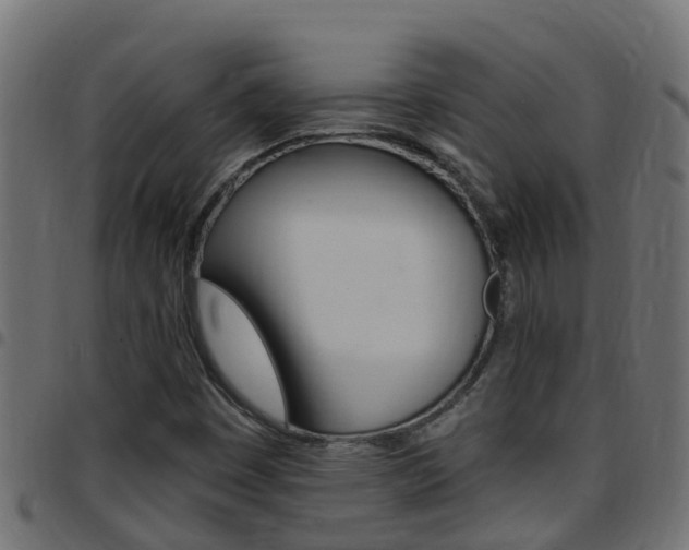 X0000097791449200803070925