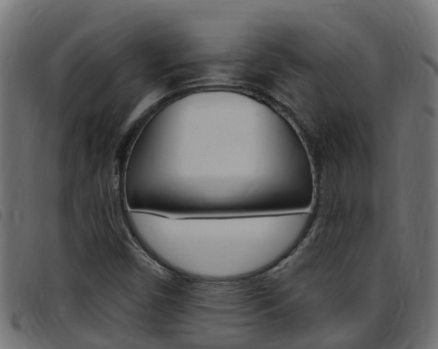 X0000097791450200803070925