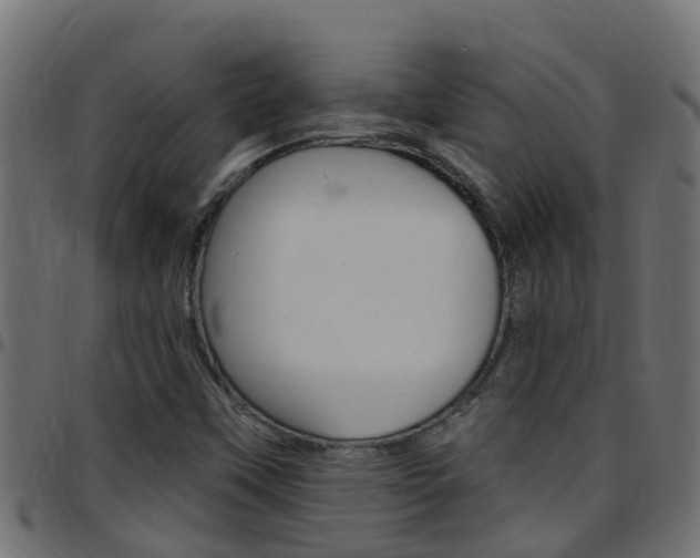X0000097791451200803070925