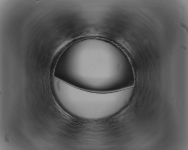 X0000097791452200803070925