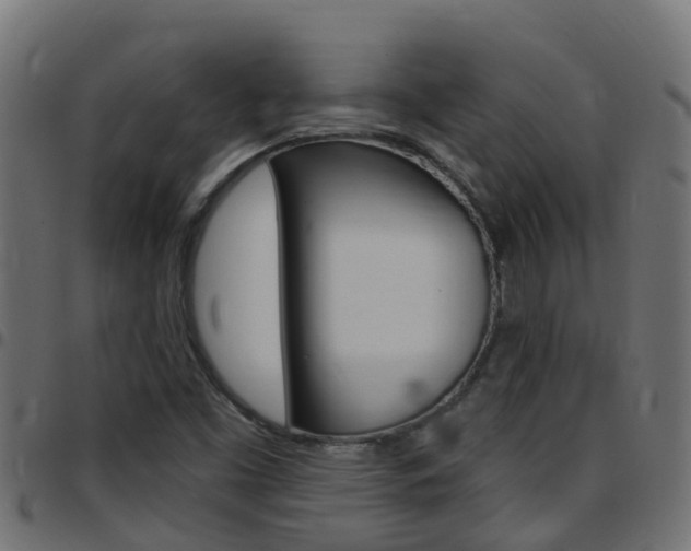 X0000097791453200803070925