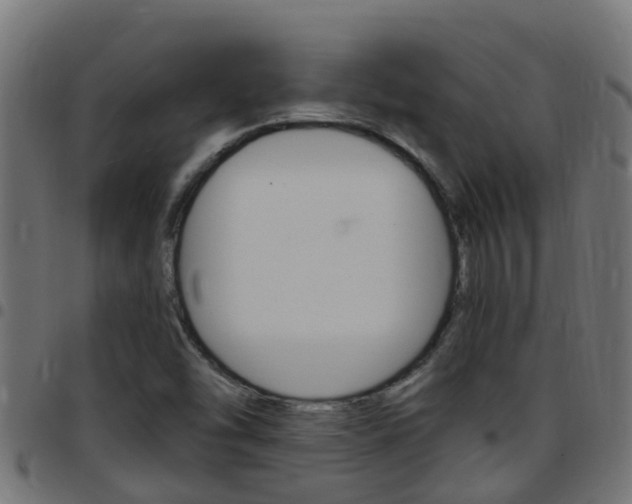 X0000097791454200803070925