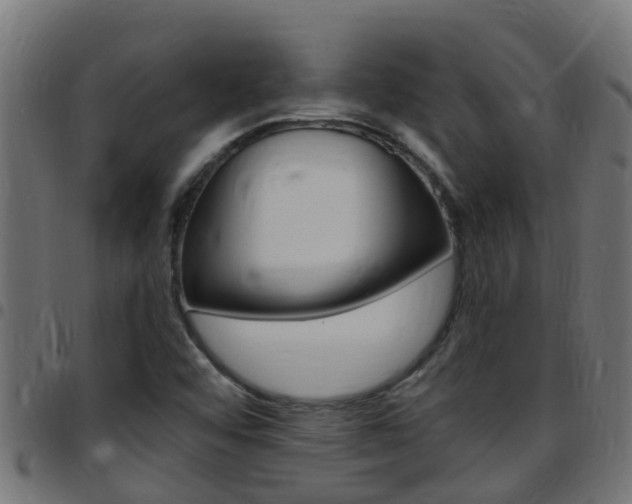 X0000097791456200803070925