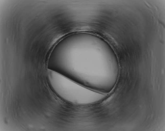 X0000097791457200803070925