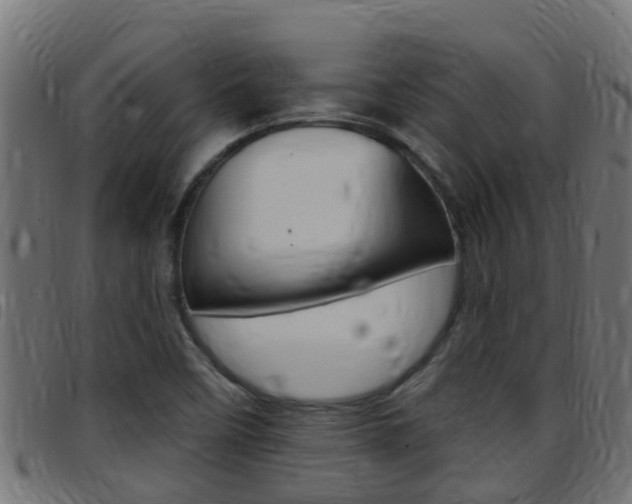 X0000097791458200803070925
