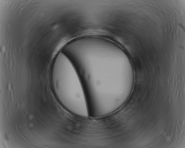 X0000097791459200803070925