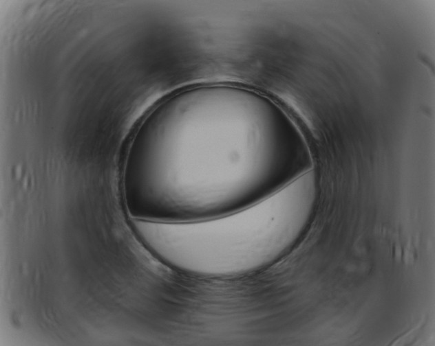 X0000097791460200803070925
