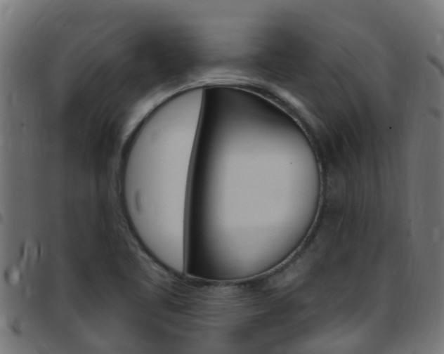 X0000097791461200803070925