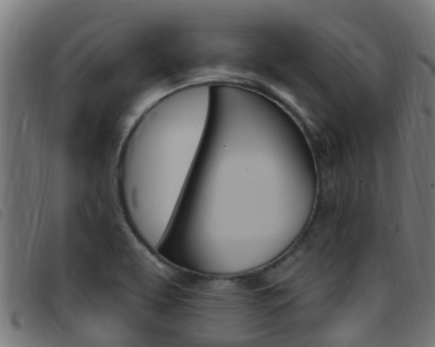 X0000097791463200803070925