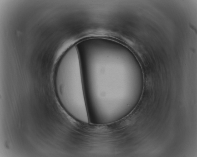 X0000097791464200803070924