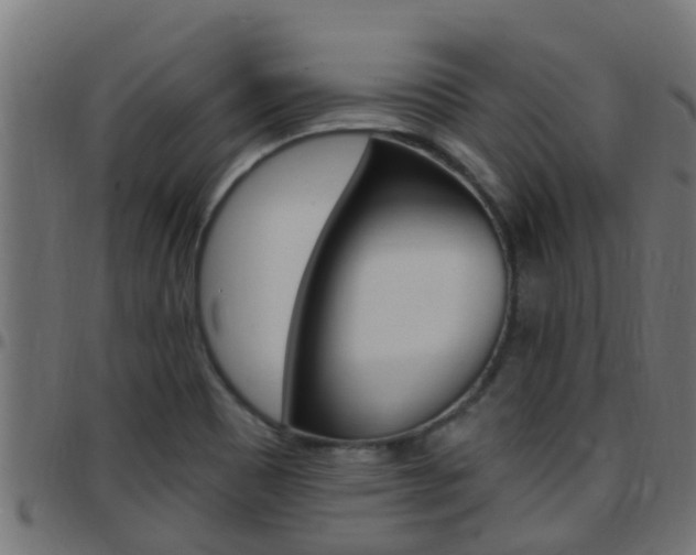 X0000097791465200803070924