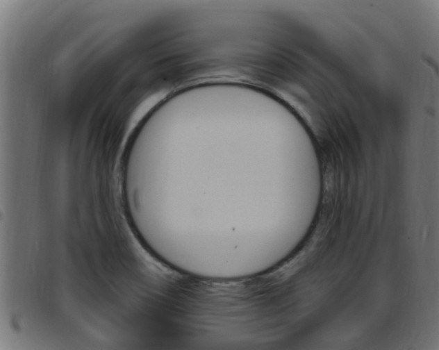 X0000097791466200803070924
