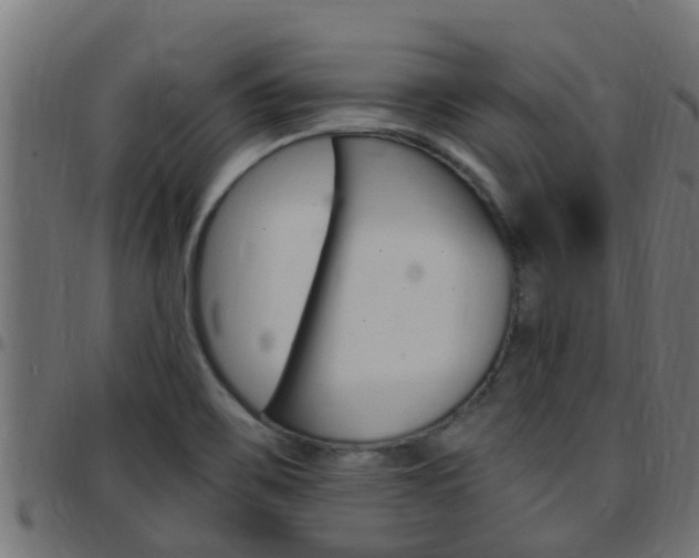 X0000097791467200803070924