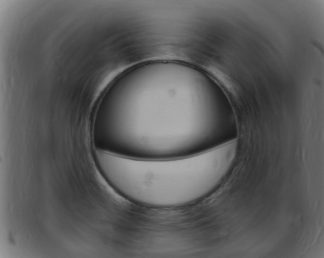 X0000097791468200803070924