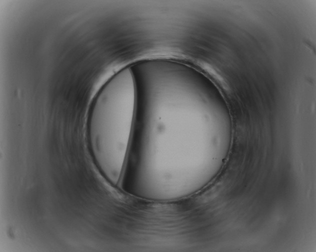 X0000097791469200803070924